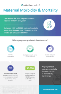 Maternal Morbidity & Mortality Infographic