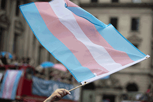 TransgenderFlag-300
